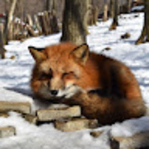 Meet your Posher, Juan